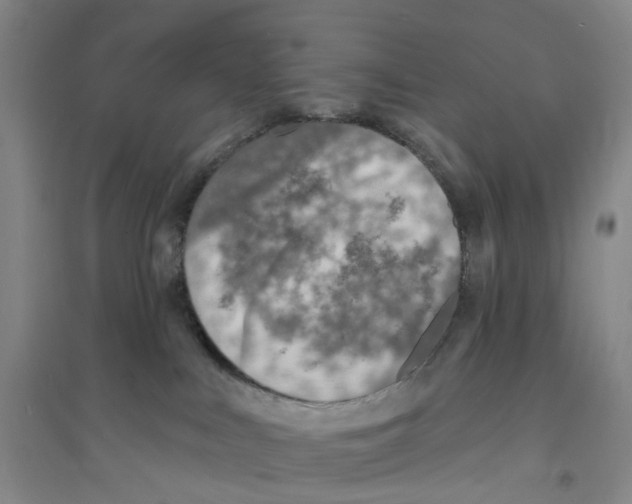 X0000094070043200711161557