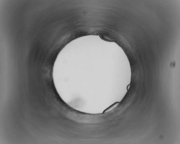 X0000094070044200711161557