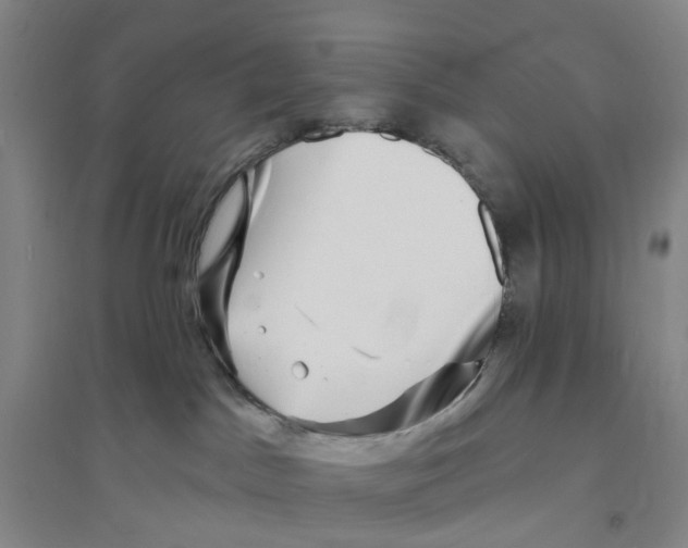X0000094070045200711161557