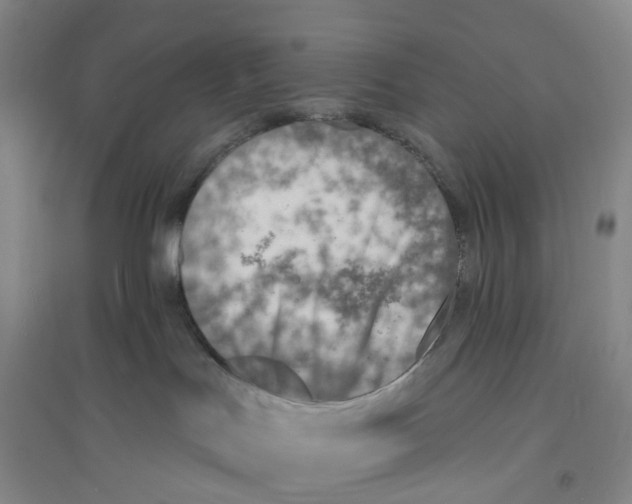 X0000094070047200711161557