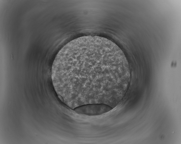 X0000094070048200711161557