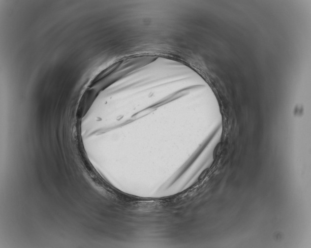X0000094070050200711161556