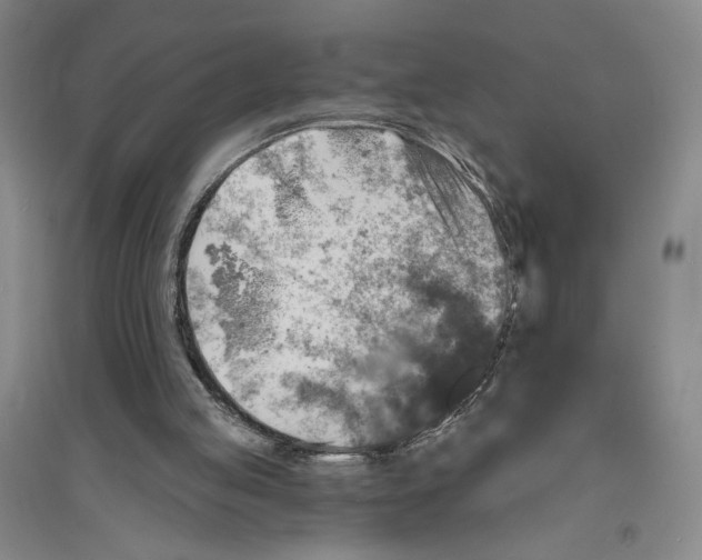 X0000094070053200711161556