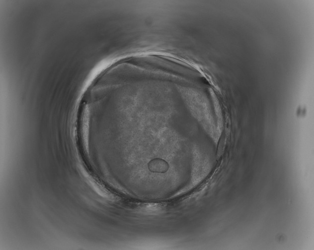 X0000094070056200711161556