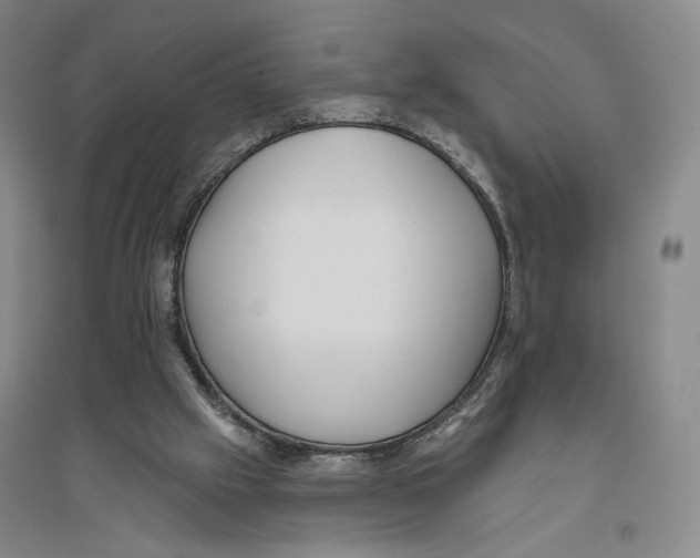 X0000094070057200711161556