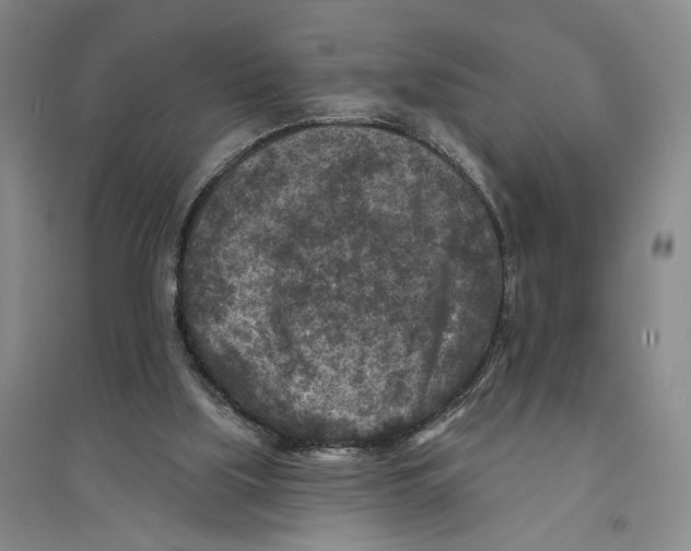 X0000094070059200711161556