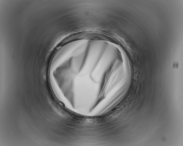 X0000094070060200711161556