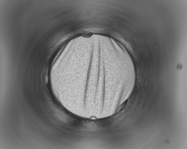 X0000094070062200711161556