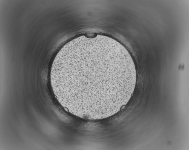 X0000094070063200711161556