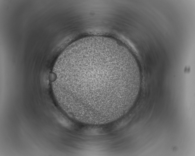 X0000094070065200711161557