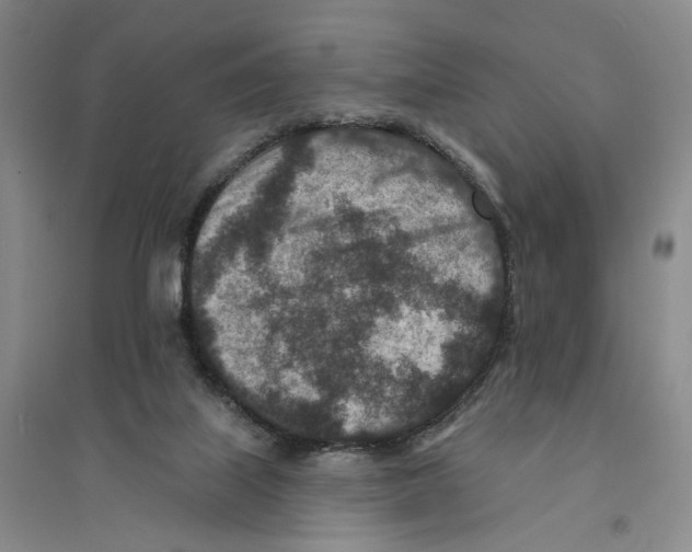 X0000094070067200711161557