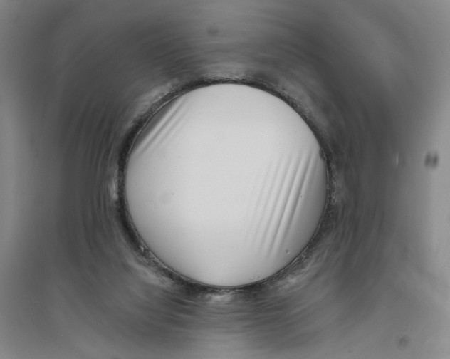 X0000094070068200711161557