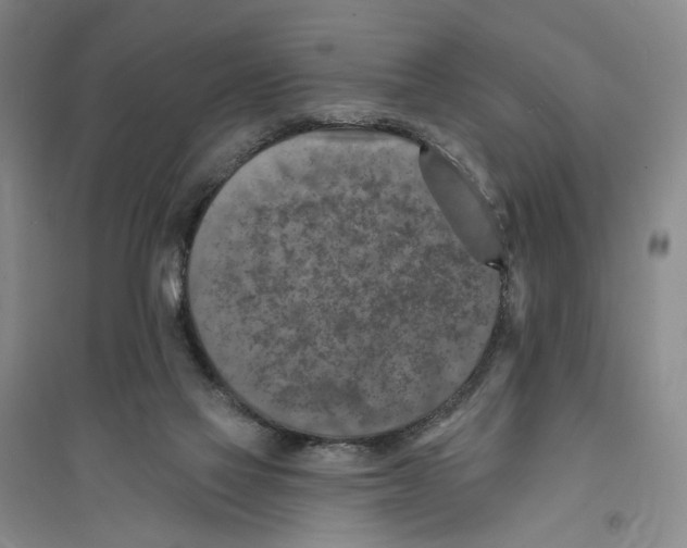 X0000094070069200711161557