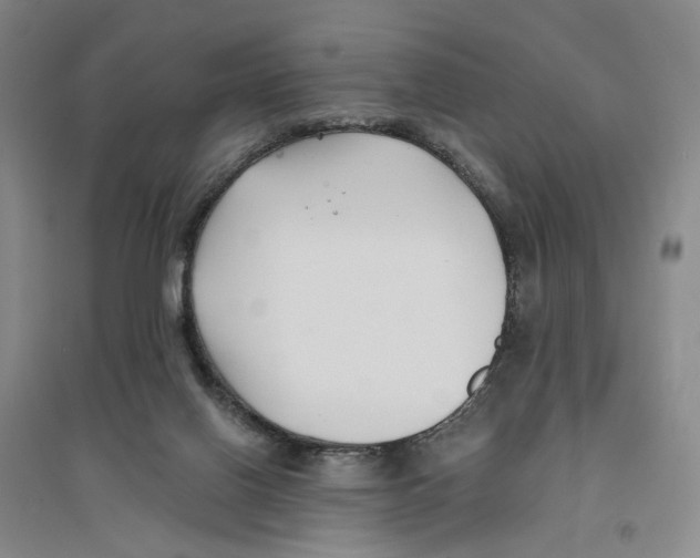 X0000094070070200711161557