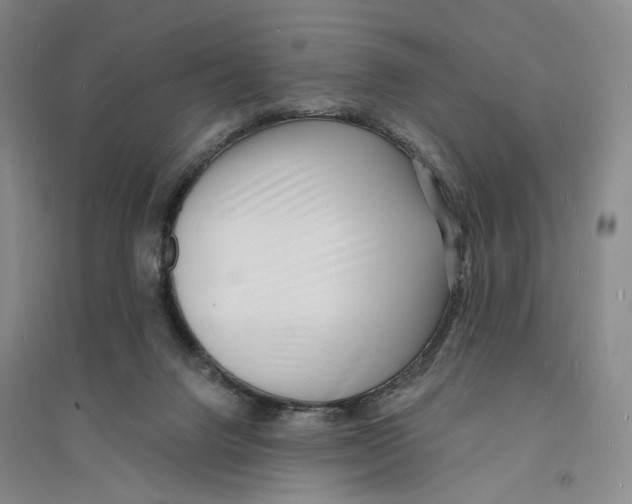 X0000094070072200711161557