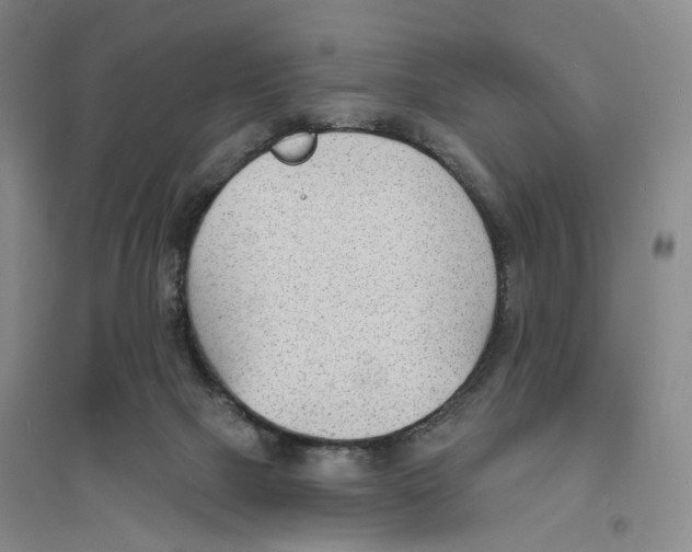 X0000094070073200711161557