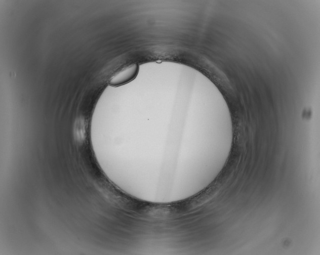X0000094070075200711161557