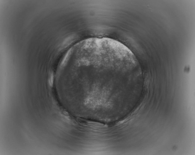 X0000094070076200711161557