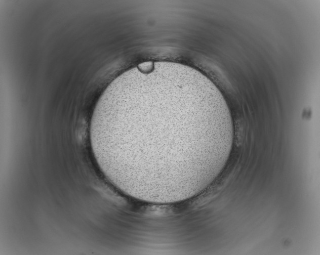 X0000094070077200711161557