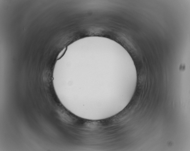 X0000094070079200711161557