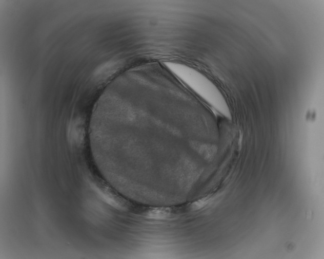 X0000094070080200711161557