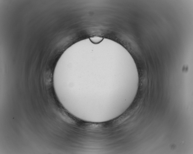 X0000094070081200711161557