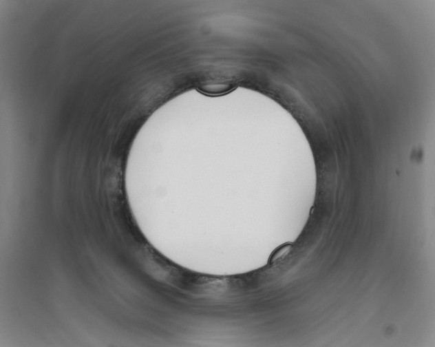 X0000094070083200711161557