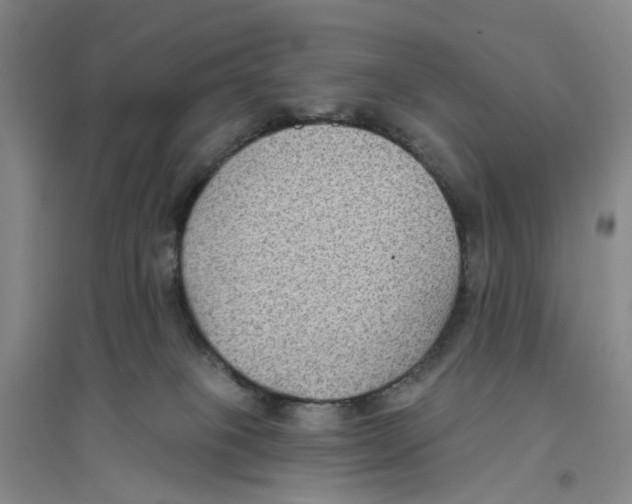 X0000094070085200711161557