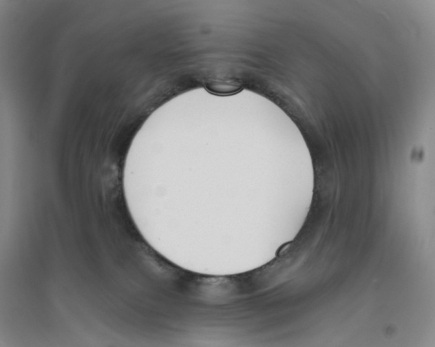 X0000094070087200711161557
