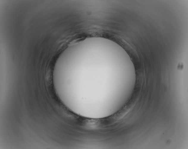 X0000094070088200711161557