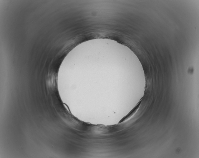 X0000094070094200711161557