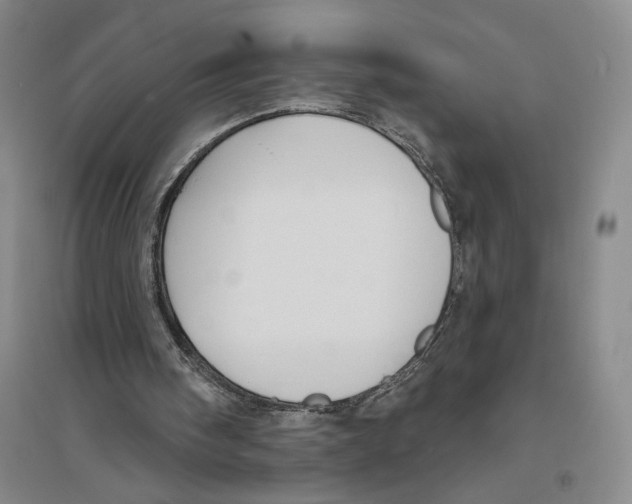 X0000094070098200711161556