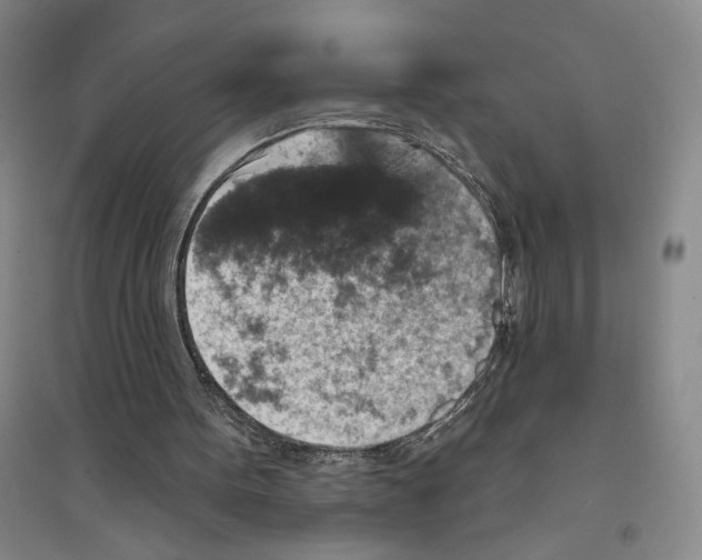 X0000094070099200711161556