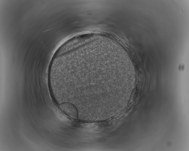 X0000094070100200711161556