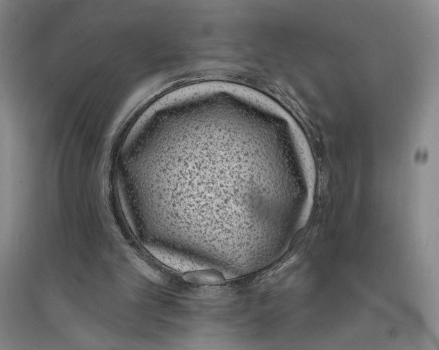 X0000094070101200711161556