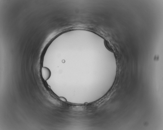 X0000094070102200711161556