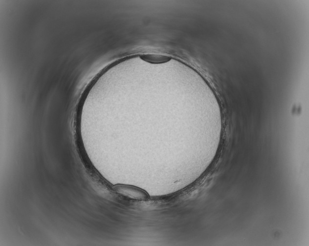 X0000094070103200711161556