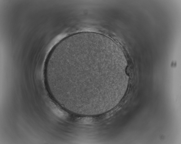 X0000094070104200711161556