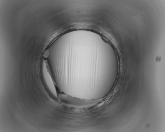 X0000094070105200711161556