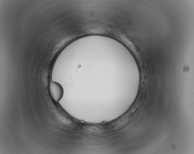 X0000094070106200711161556