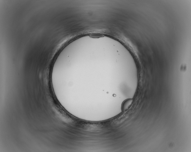 X0000094070107200711161556