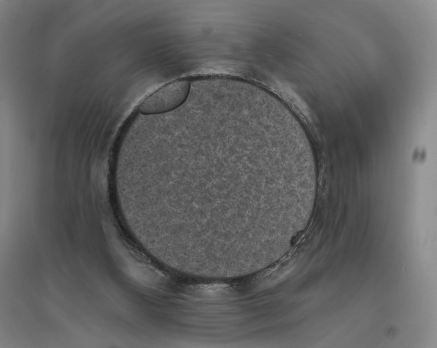 X0000094070108200711161556