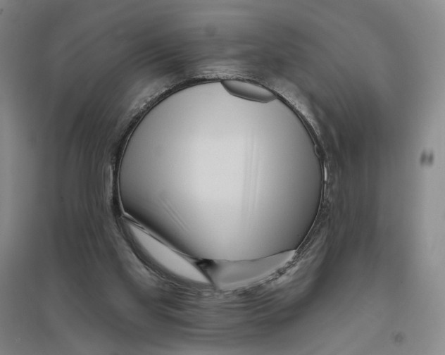 X0000094070109200711161556