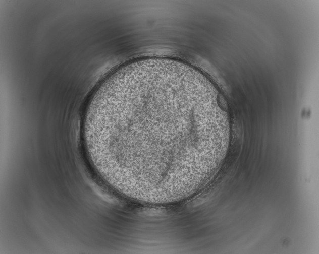 X0000094070110200711161556