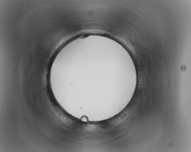 X0000094070111200711161556