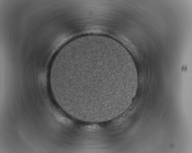 X0000094070112200711161556
