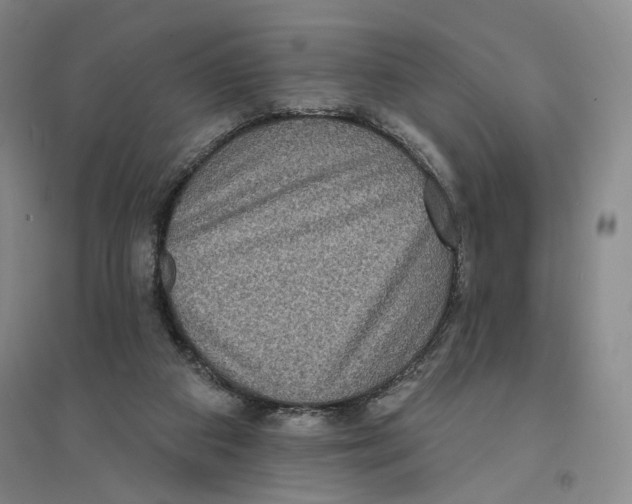 X0000094070113200711161556