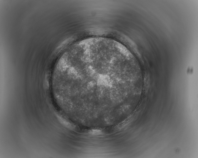 X0000094070114200711161556