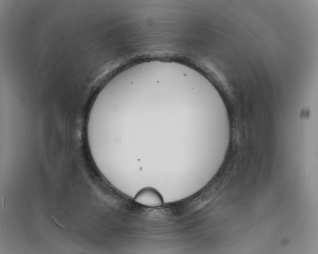 X0000094070115200711161556