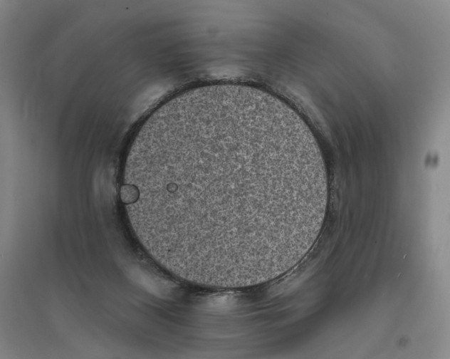 X0000094070116200711161556